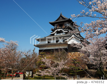 桜咲く犬山城 4740352
