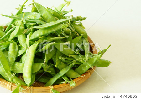 春の野菜　キヌサヤ 4740905