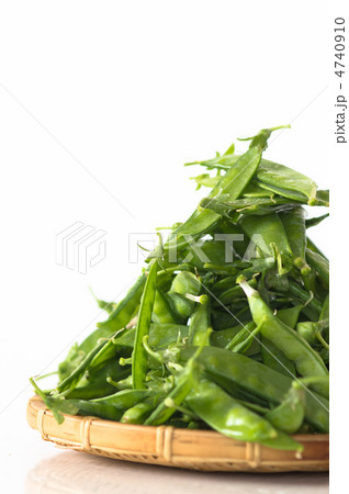 春の野菜　キヌサヤ 4740910