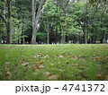 公園、芝 4741372