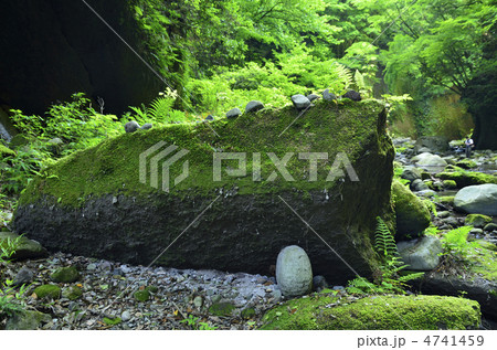 大自然の造形美 由布川峡谷の巨岩 大自然の造形美 由布川峡谷の巨岩 4741459