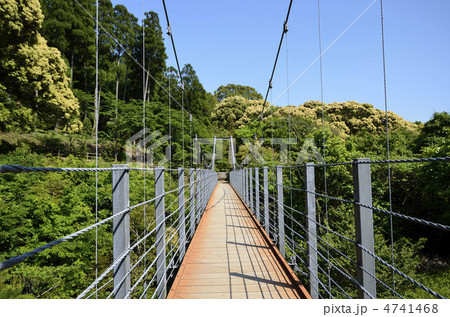 由布川峡谷の吊橋 4741468