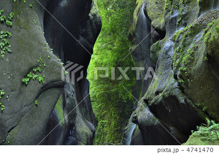 大自然の造形美 由布川峡谷の絶壁 大自然の造形美 由布川峡谷の絶壁 4741470