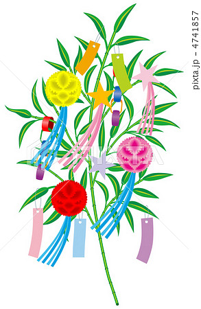 七夕　笹飾り　白バック 4741857