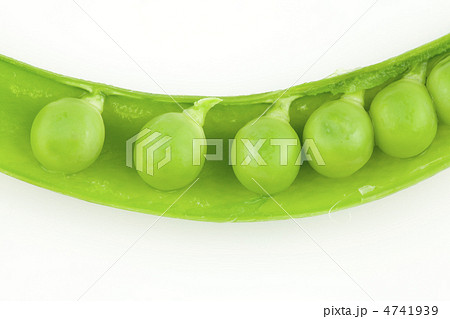 スナックエンドウ スナックエンドウ 4741939