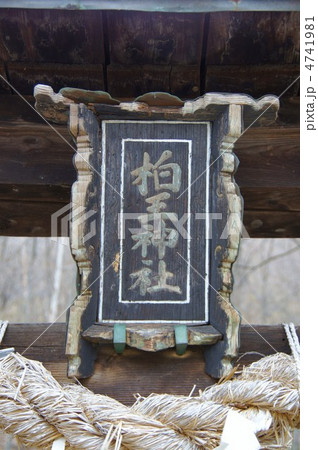 柏王神社と扁額 柏王神社と扁額 4741981