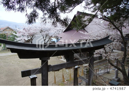 柏王神社の鳥居 柏王神社の鳥居 4741987