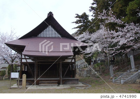 柏王神社と桜 4741990