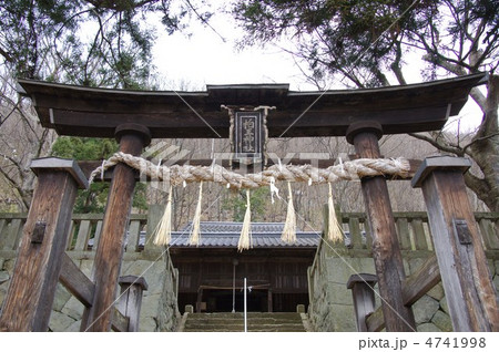 柏王神社としめ縄 4741998