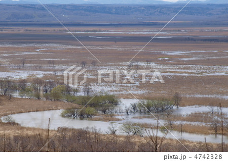 大雨により水没した釧路湿原 4742328