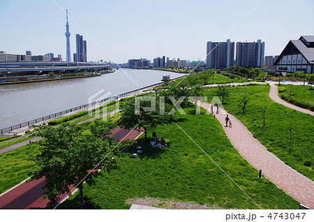 汐入公園 4743047