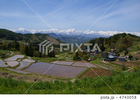 信州大岡慶師集落と北アルプスの春 4743058