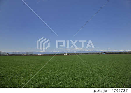 北海道の小麦畑 4745727