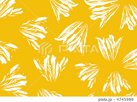 グラフィックパターン 4745999