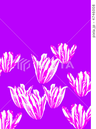 グラフィックパターン グラフィックパターン 4746008