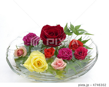 フローティングフラワー フローティングフラワー 4746302