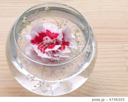 フローティングフラワー 4746305