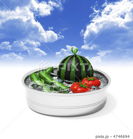 夏野菜 4746694