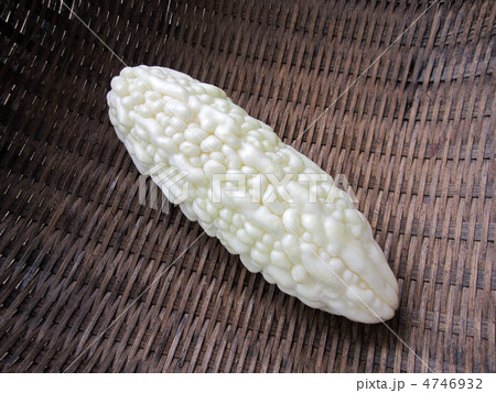 白ゴーヤー 4746932