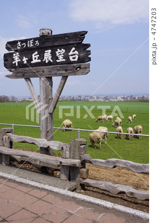 さっぽろ羊ヶ丘展望台 4747203