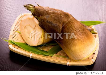 タケノコ 4747251