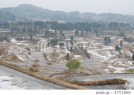 星峠の棚田 4751960