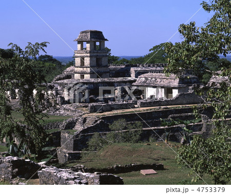 パレンケ遺跡宮殿 パレンケ遺跡宮殿 4753379