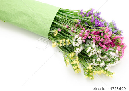 ハナハマサジの花束 4753600