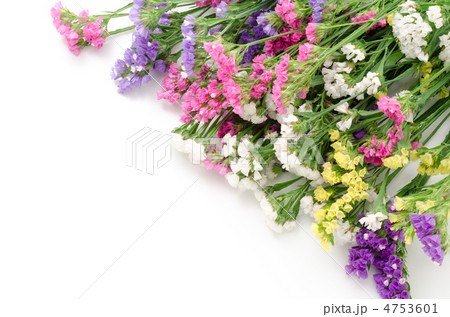 ハナハマサジの花束 4753601