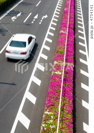 フラワーロード 4754141
