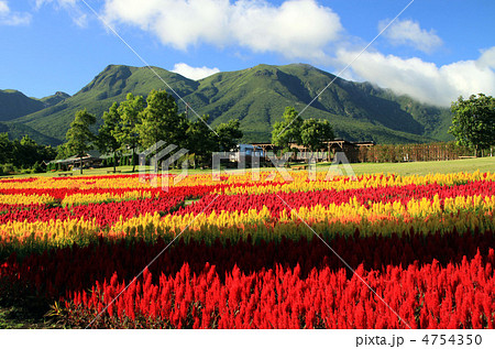 久住高原 久住高原 4754350