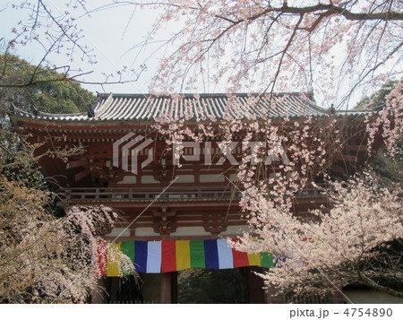 醍醐寺　仁王門 4754890