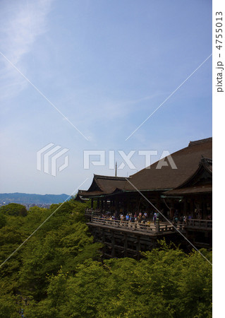 新緑と青空の清水寺 4755013