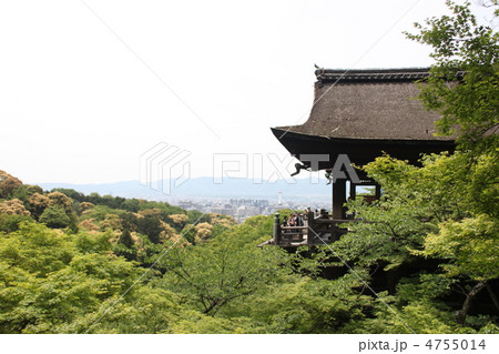 自然に囲まれた清水寺 自然に囲まれた清水寺 4755014