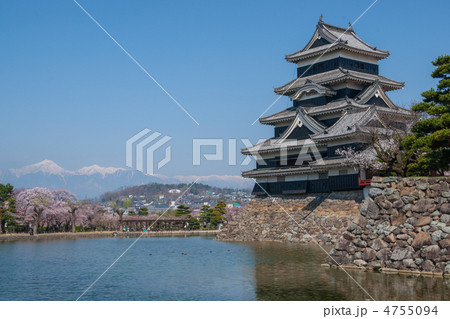 春の松本城天守閣と北アルプス 4755094