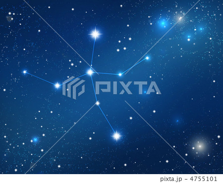 星座 4755101