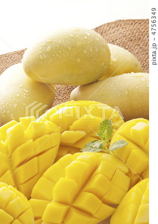 完熟マンゴー　カットフルーツ　イメージ素材　 4756349