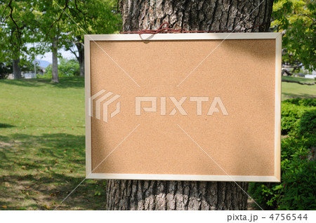 木に掛けたコルクボード 4756544