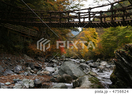 奥祖谷二重かずら橋 奥祖谷二重かずら橋 4756624