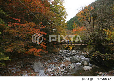 奥祖谷二重かずら橋 奥祖谷二重かずら橋 4756632