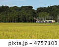 特急しおさい号 4757103