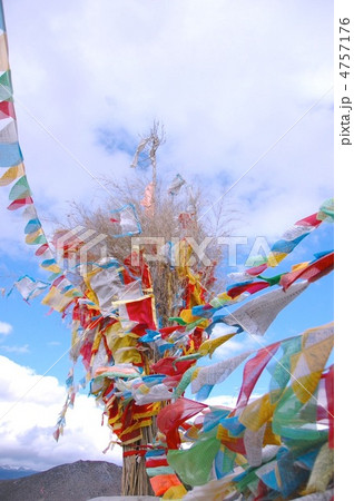 神が宿る木 神が宿る木 4757176