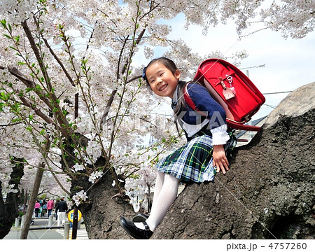木登りの小学生 木登りの小学生 4757260