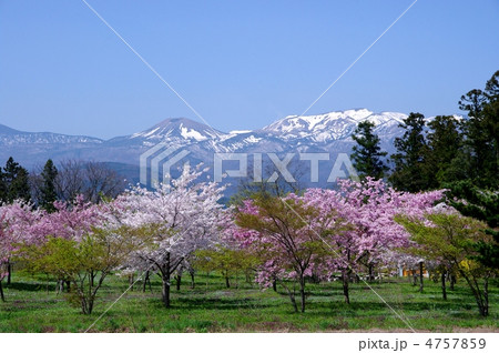 吾妻連邦の春 春の山里 吾妻連邦の春 春の山里 4757859