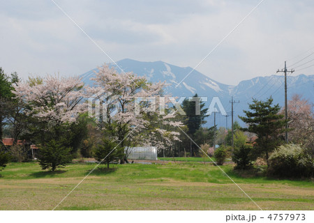 群馬県 嬬恋村 春 群馬県 嬬恋村 春 4757973