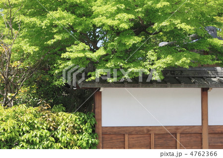 初夏の嵯峨野散策 4762366