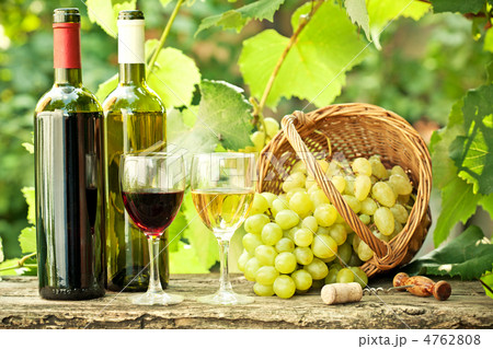 Red and white wine against vineyard 4762808