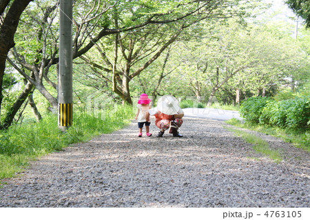 春の山道で散歩する孫と祖母の様子 春の山道で散歩する孫と祖母の様子 4763105