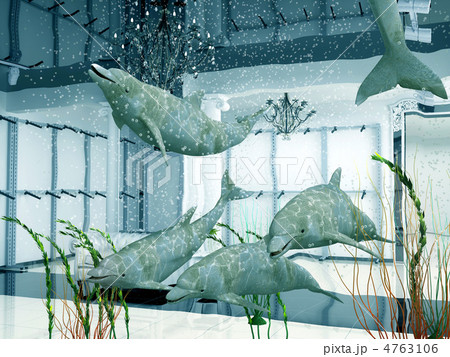 dolphins in the shop dolphins in the shop 4763106