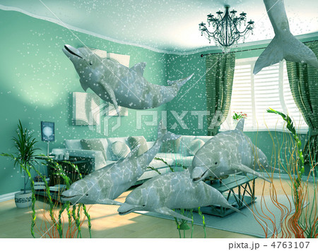 domestic dolphins domestic dolphins 4763107
